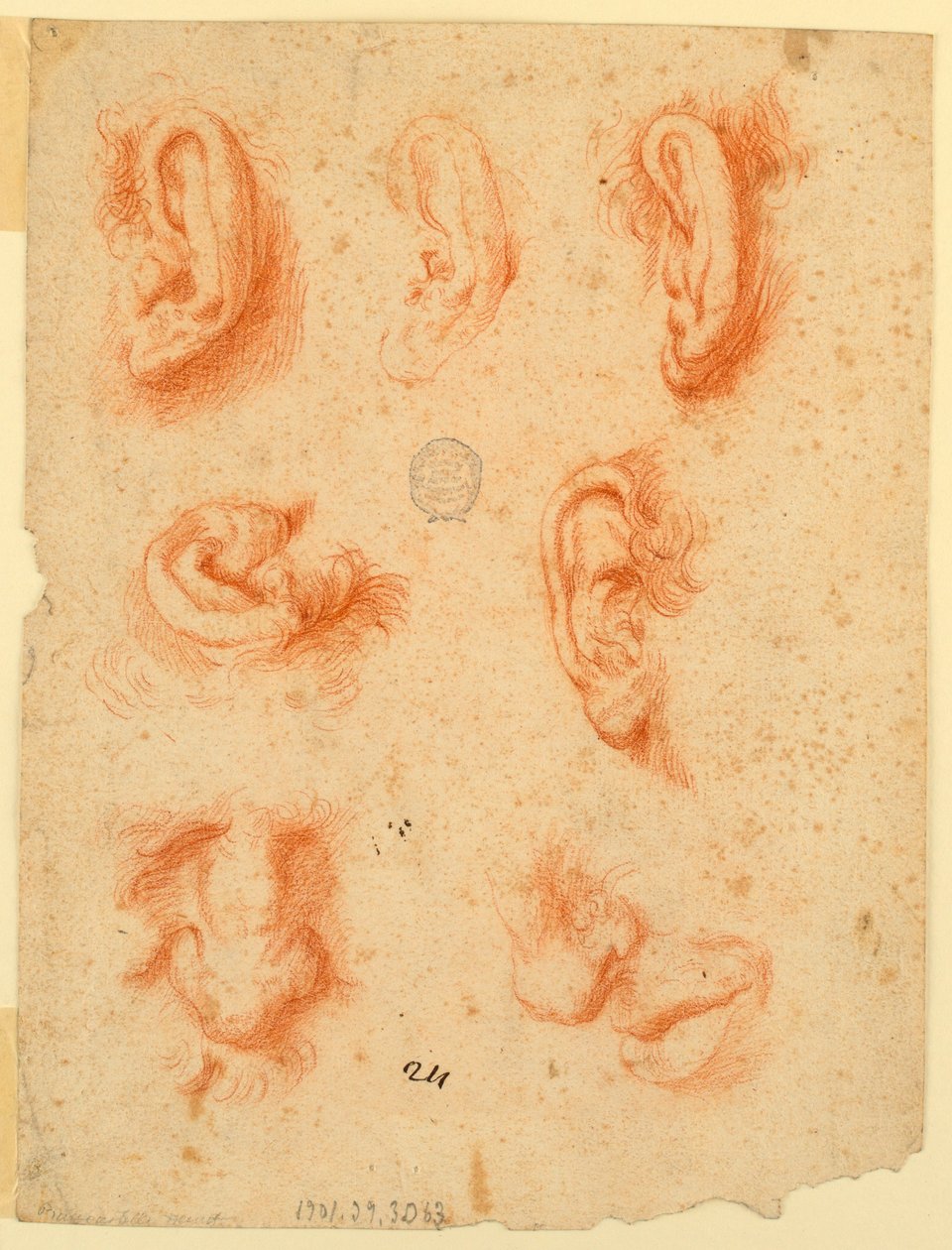 Studi di Cinque Orecchie, Nasi e una Bocca da Unknown artist