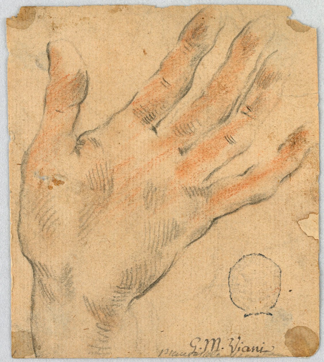 Studio: una mano sinistra da Unknown artist