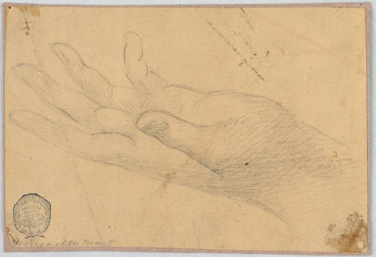 Studio: Una mano sinistra da Unknown artist
