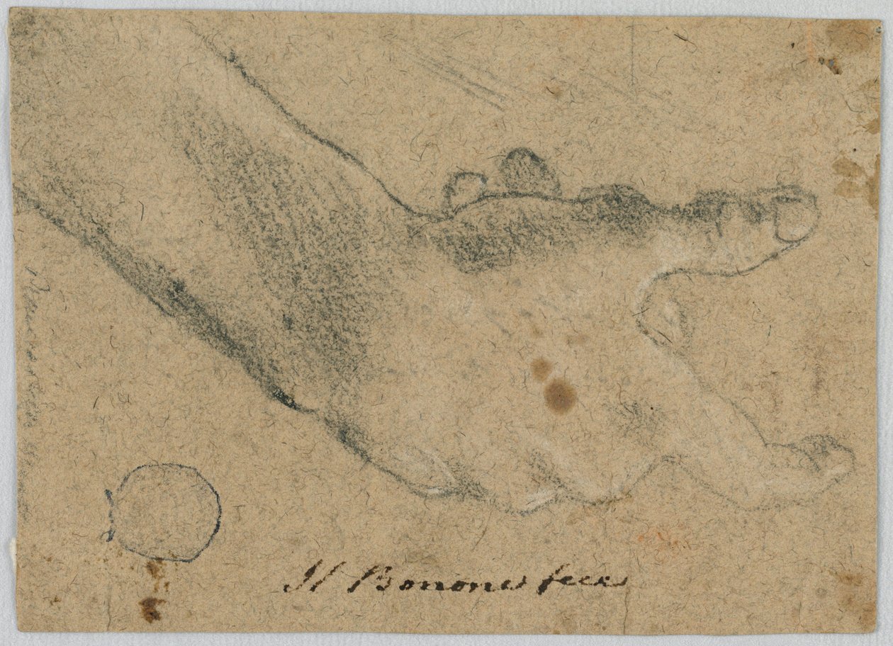 Studio: Una mano destra da Unknown artist