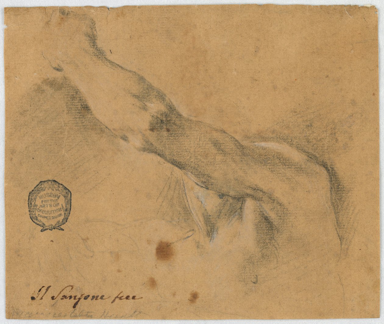 Studio: Il braccio sinistro e le parti vicine del corpo di un uomo anziano da Unknown artist