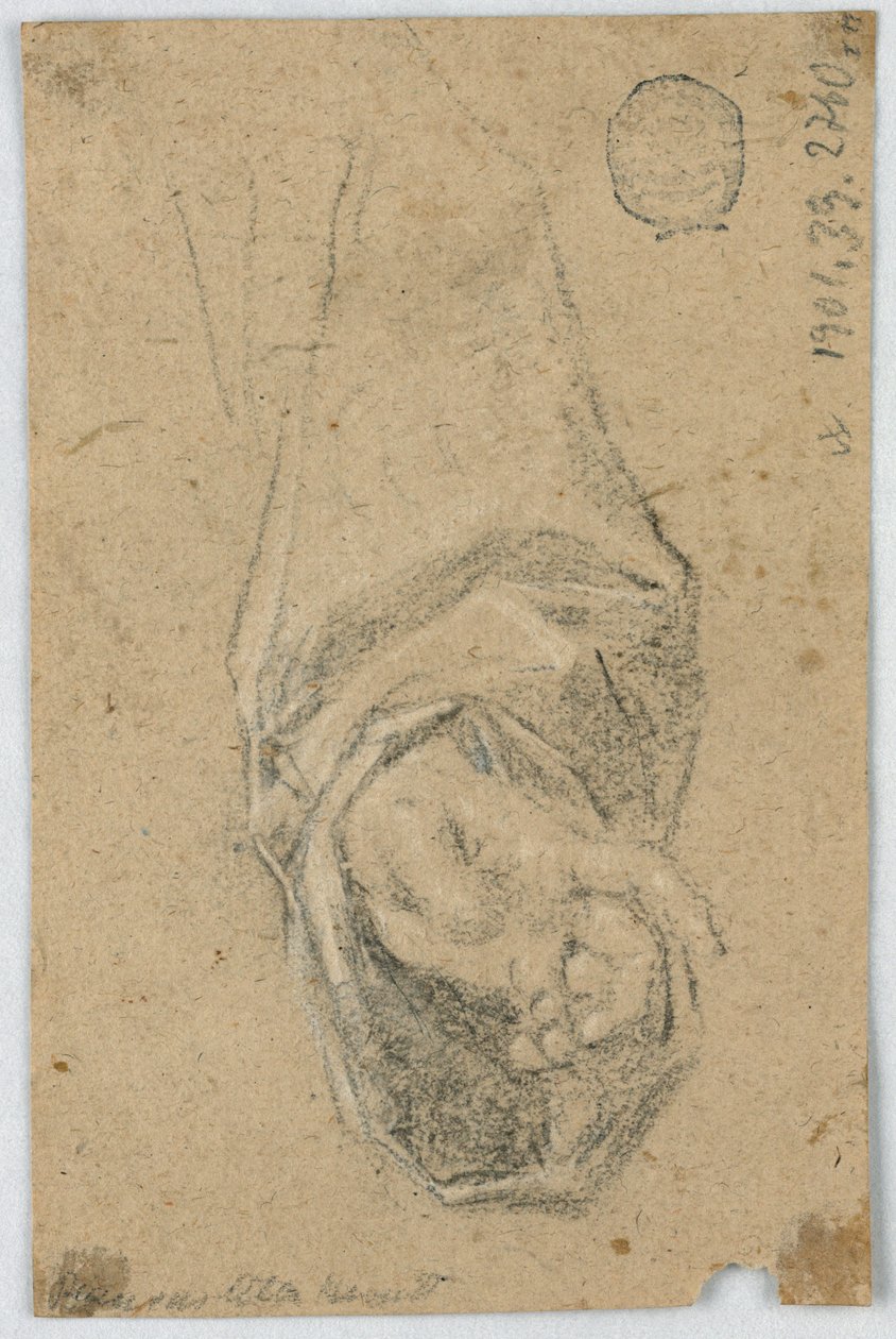 Studio: La mano sinistra di un monaco da Unknown artist