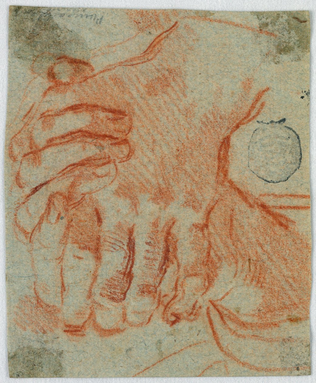 Studio delle Mani Chiuse di una Donna da Unknown artist