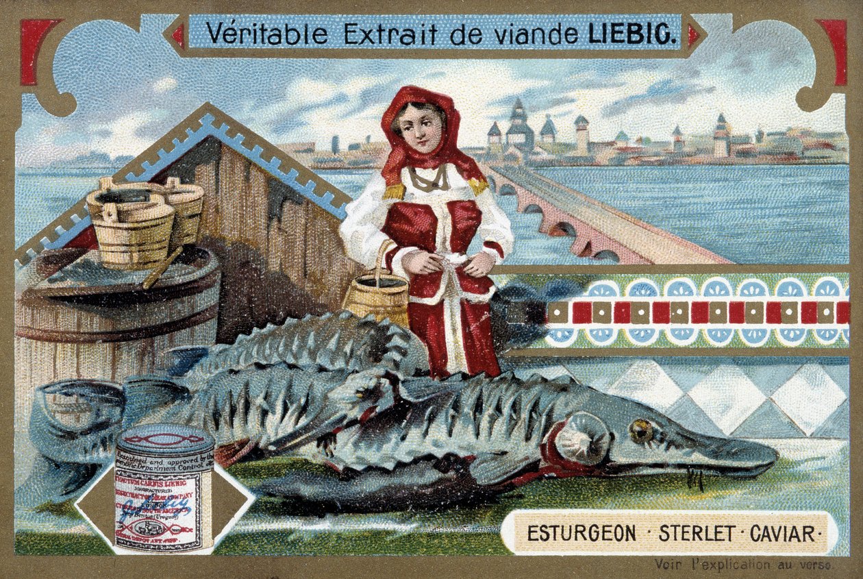 Storione, sterlet, caviale, con una giovane donna che tiene secchi, davanti a una città russa - Cromolitografia Liebig da Unknown artist