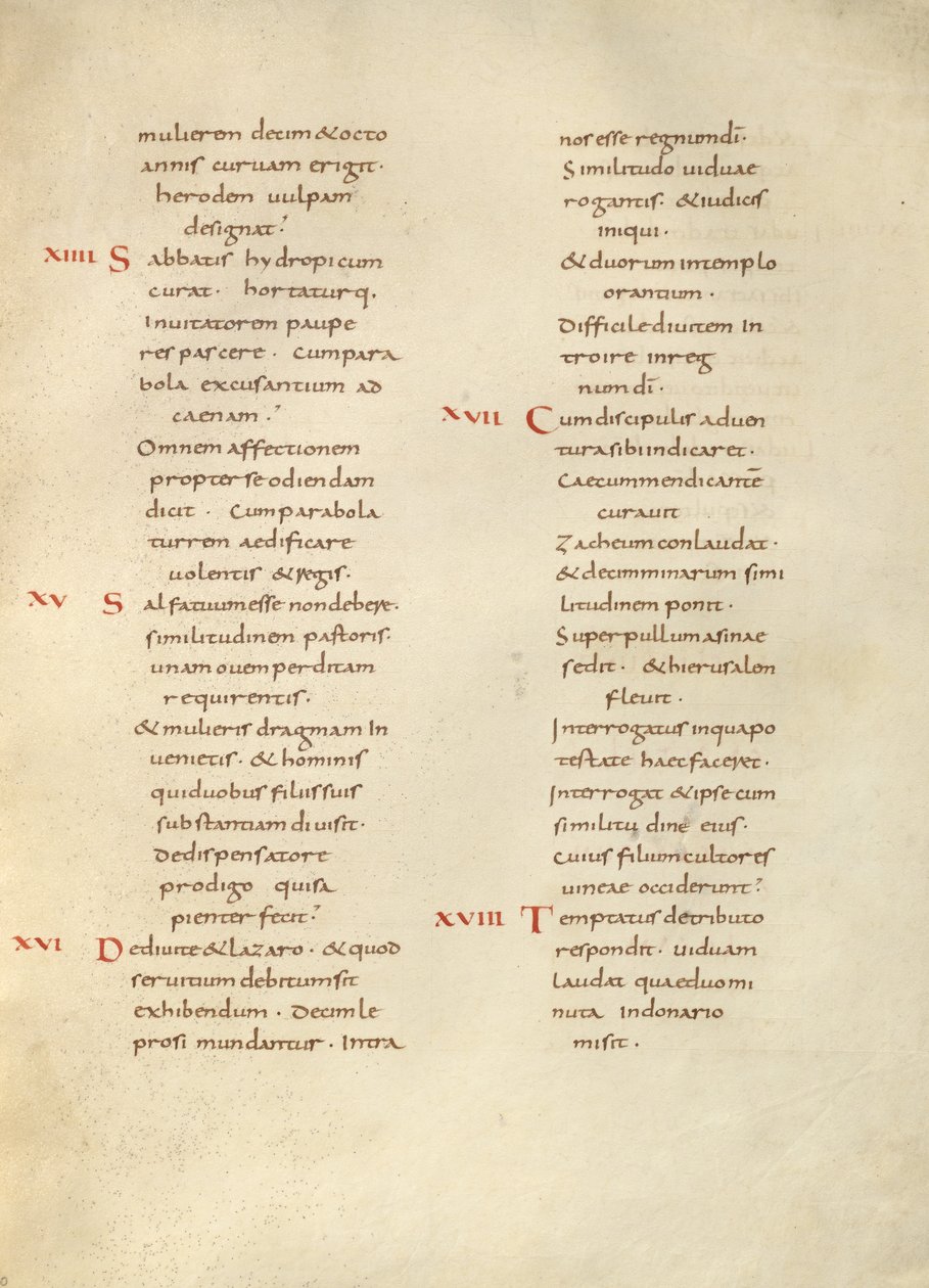 Pagina di testo da Unknown artist