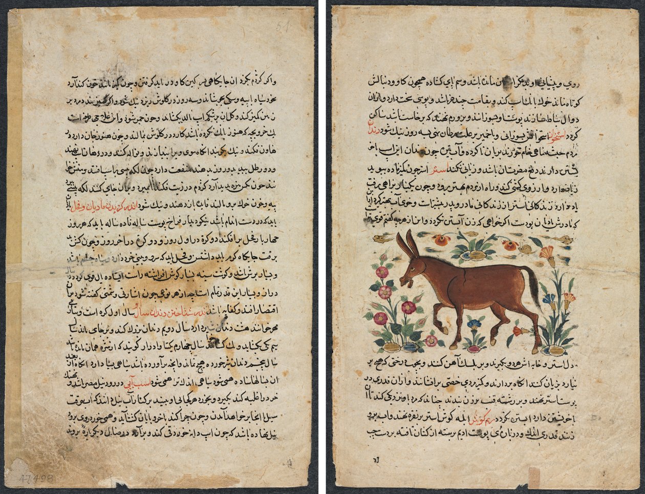 Pagina di testo, Prosa persiana (Recto); Khar (Asino) (Verso) da Unknown artist