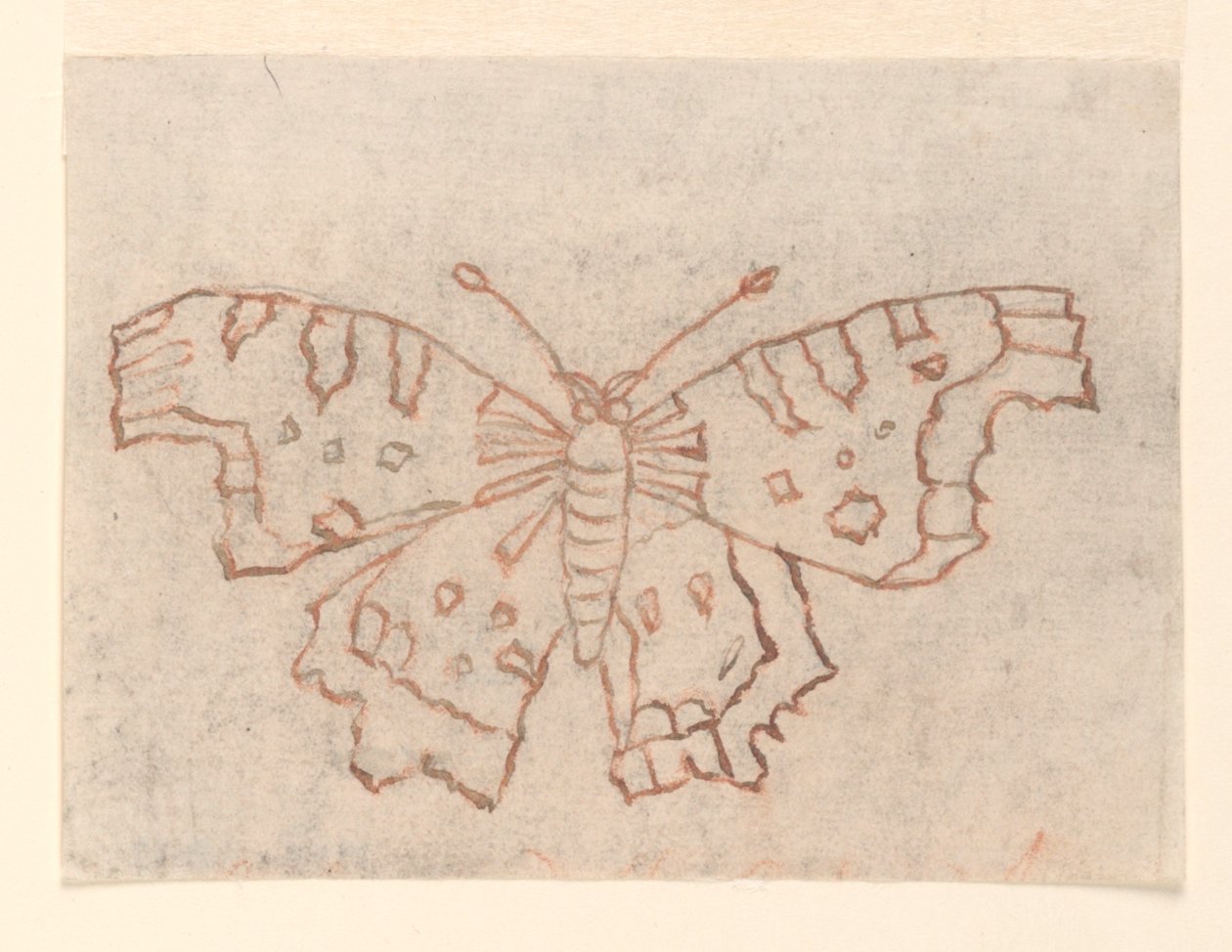 Disegno tessile: Una farfalla da Unknown artist