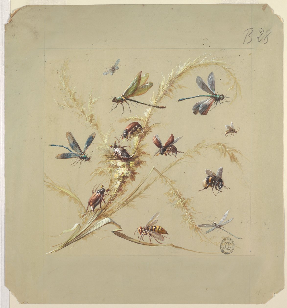 Disegno di tessuto o carta da parati: insetti da Unknown artist