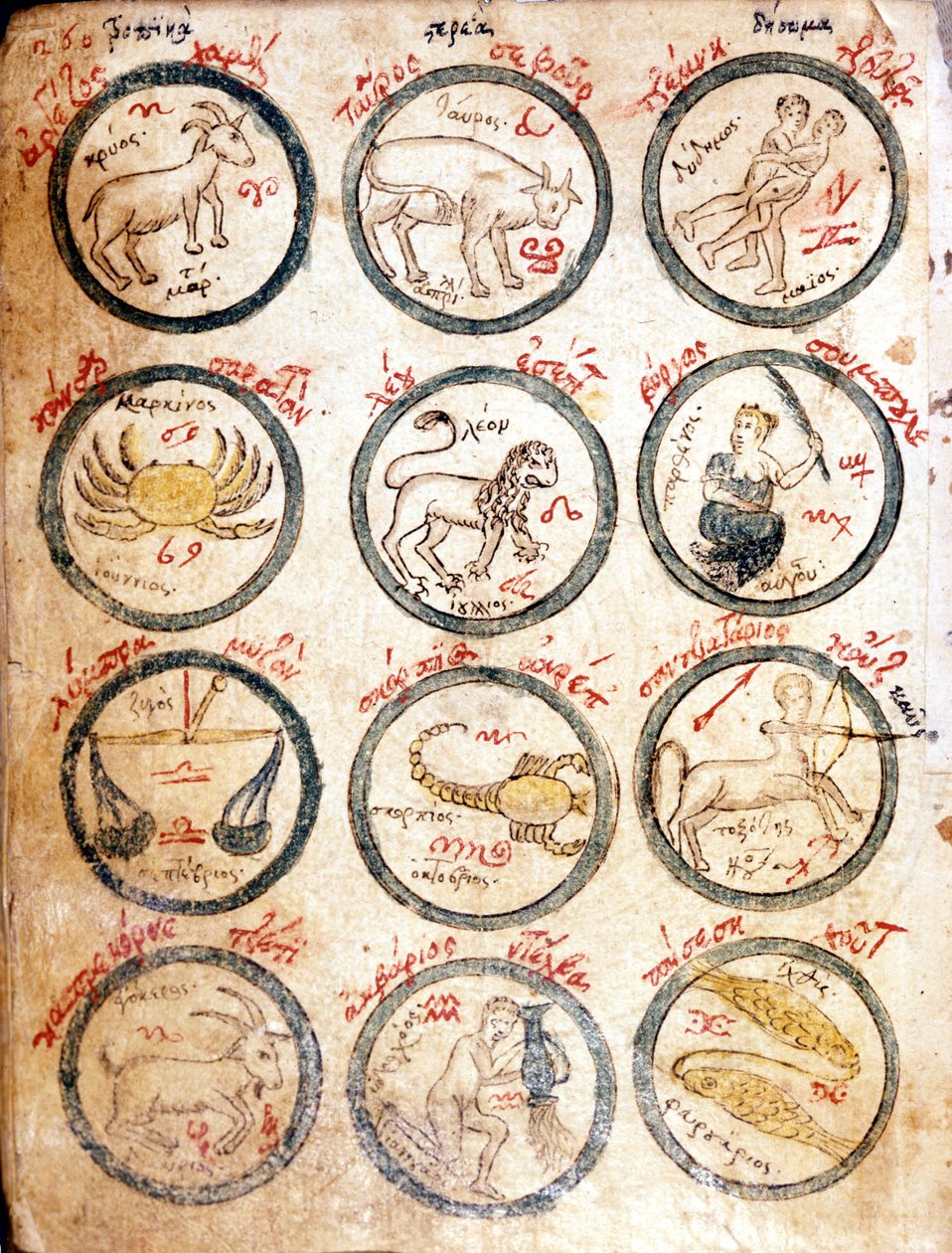 I 12 segni zodiacali - in 