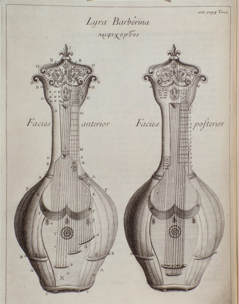 La Lyra Barberina (incisione) da Unknown artist
