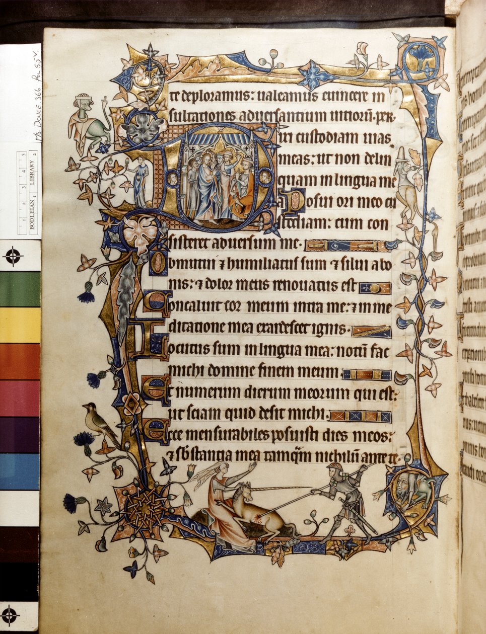 La Quercia e un Unicorno, Illustrazione dal 