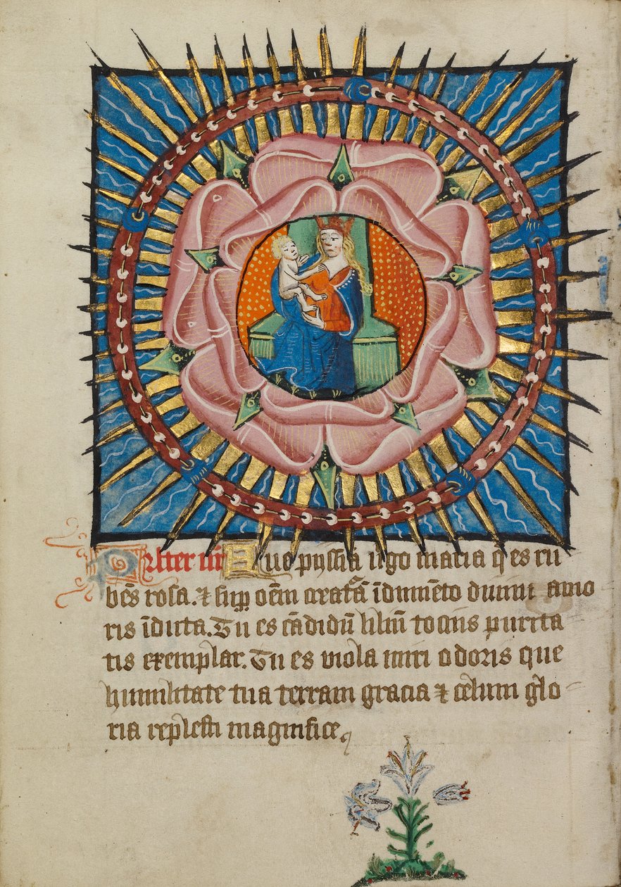 La Vergine e il Bambino in una rosa rosa con un giglio bianco da Unknown artist