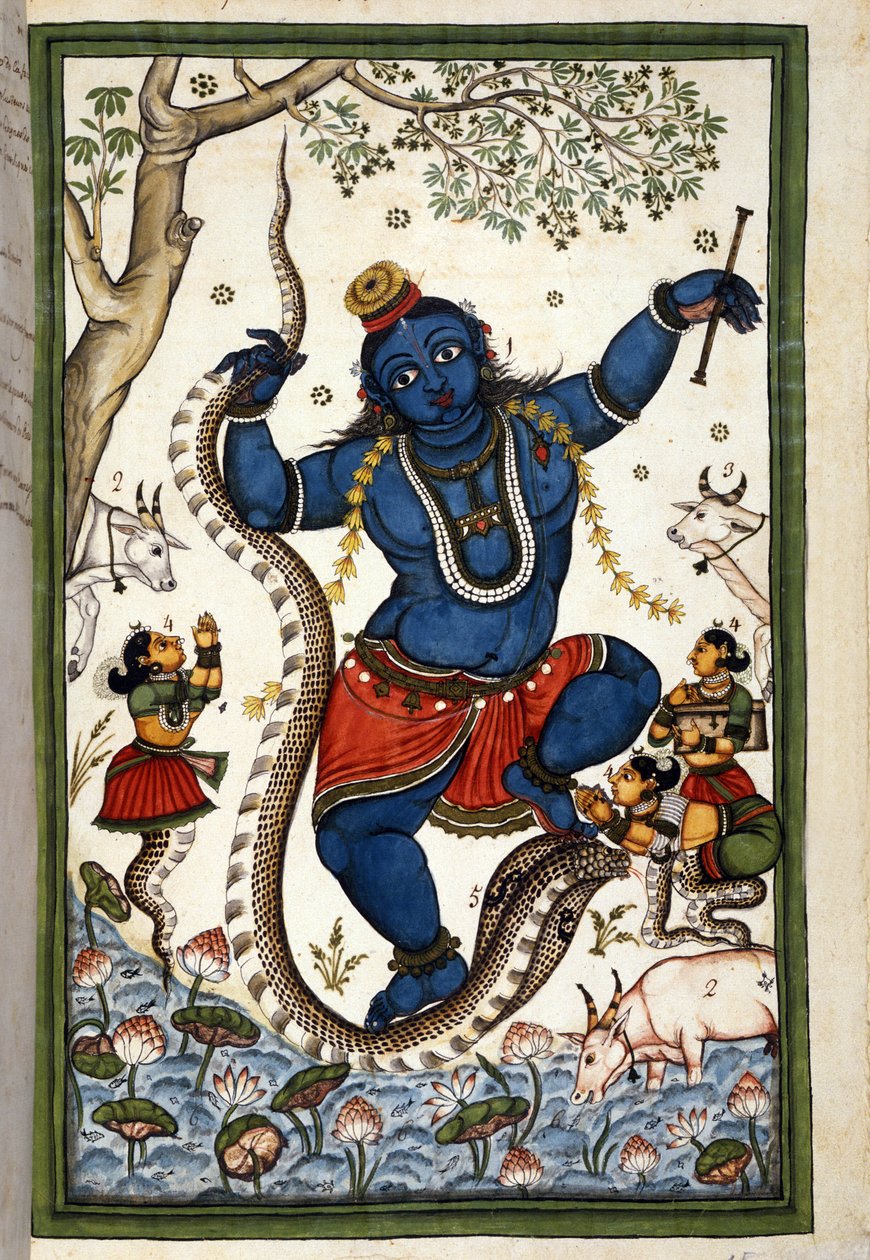 La divinità della triade brahmanica Vishnu. Pagina dal manoscritto (ms. 8300) "Storia del Mogol" di Stefano Nivibus Cardeira. XVIII secolo. Biblioteca Marciana, Venezia da Unknown artist