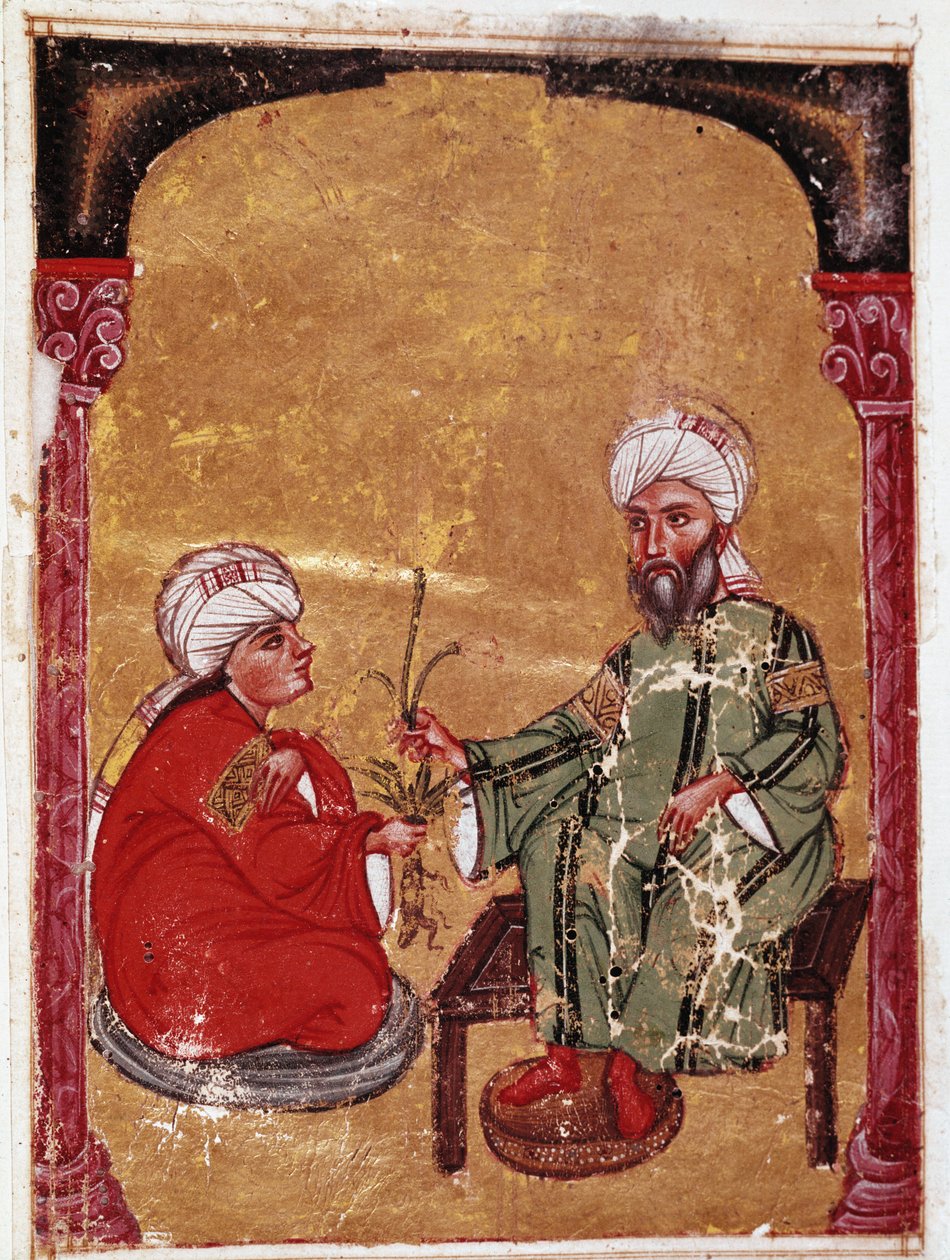 Il medico e botanico Pedanio Dioscoride seduto con uno dei suoi studenti Miniatura dal suo trattato De materia medica da Unknown artist