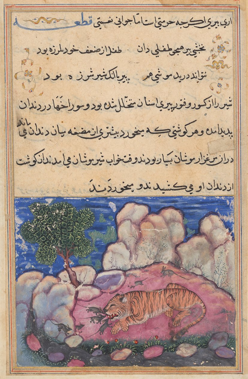 Il leone disturbato dai topi che mangiano il cibo intrappolato nei suoi denti invecchiati, da un Tuti-nama (Tales of a Parrot): quindicesima notte da Unknown artist