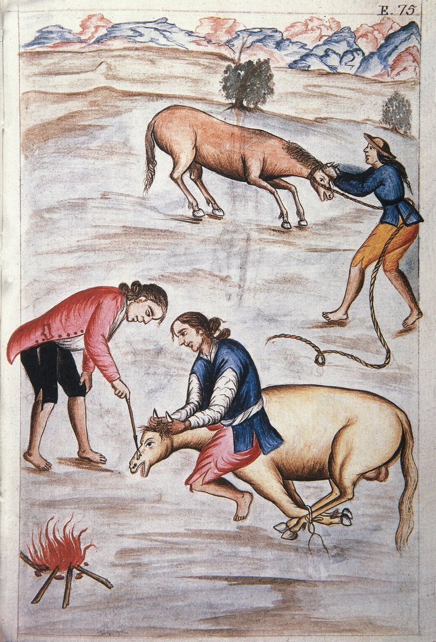 Il marchio a fuoco rosso di una giumenta, dal libro "Trujillo del Peru" o "Codice Martínez Compañón", di Baltazar Martinez Compañón y Bujanda, vescovo di Trujillo (1782-1785) da Unknown artist