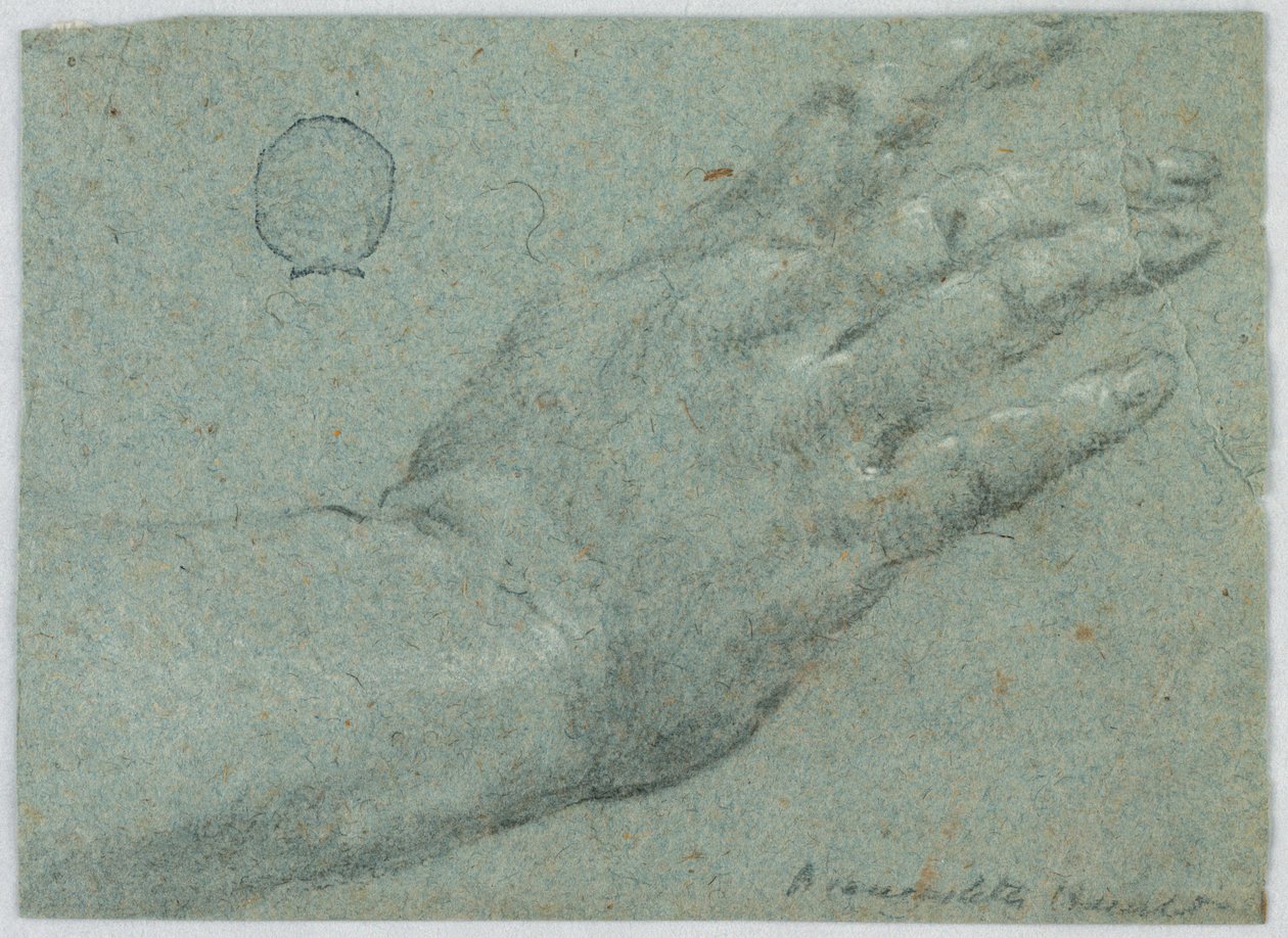 La mano destra di un uomo da Unknown artist