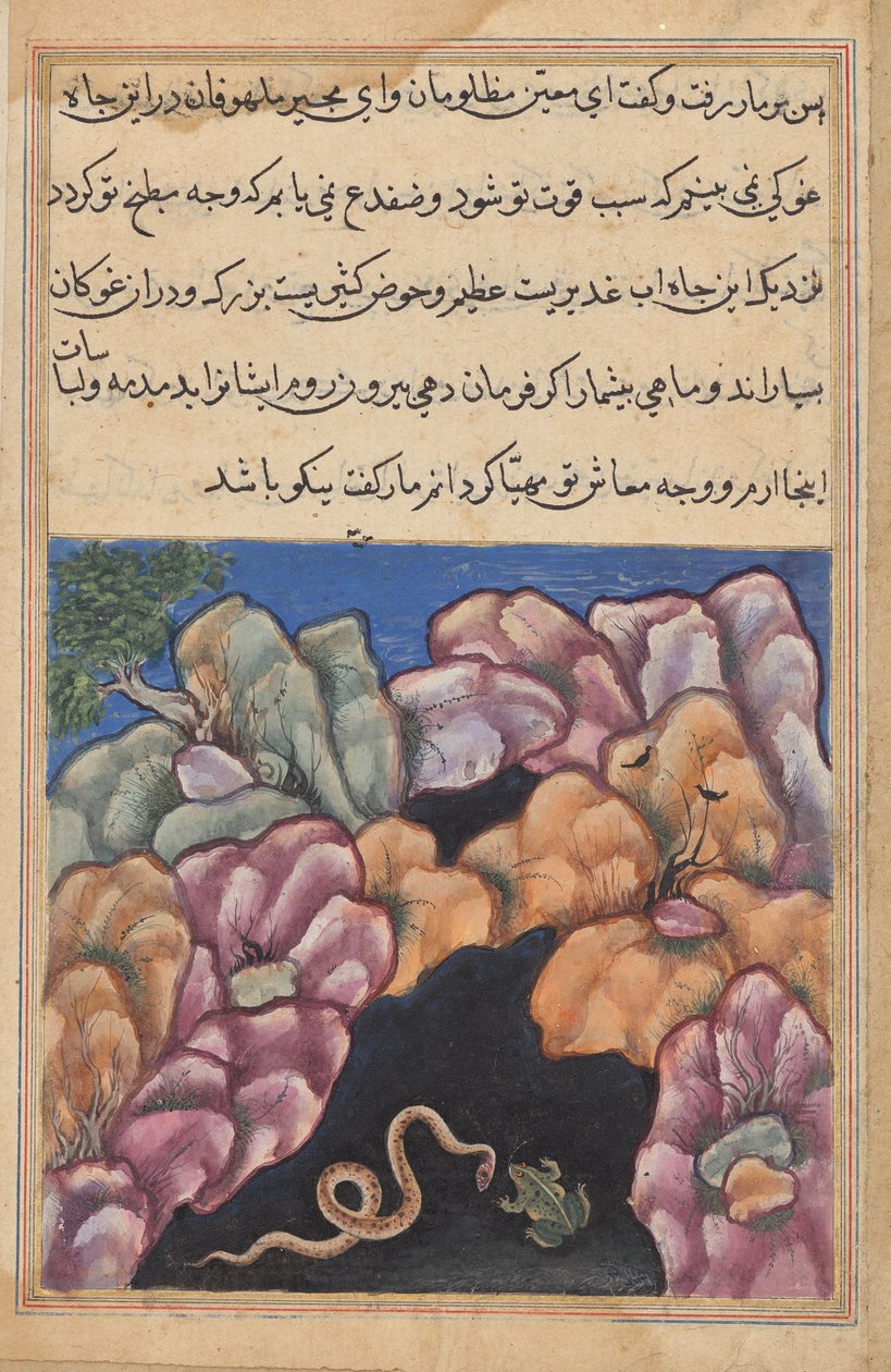 Il serpente entra in una discussione con la rana, da un Tuti-nama (Tales of a Parrot): Ventiseiesima Notte da Unknown artist