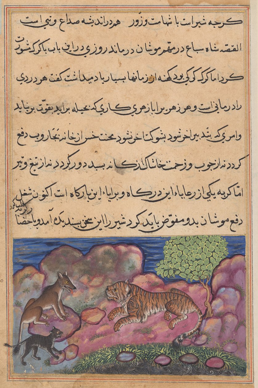 Il lupo consiglia al leone di consultare il gatto, da un Tuti-nama (Tales of a Parrot): quindicesima notte da Unknown artist
