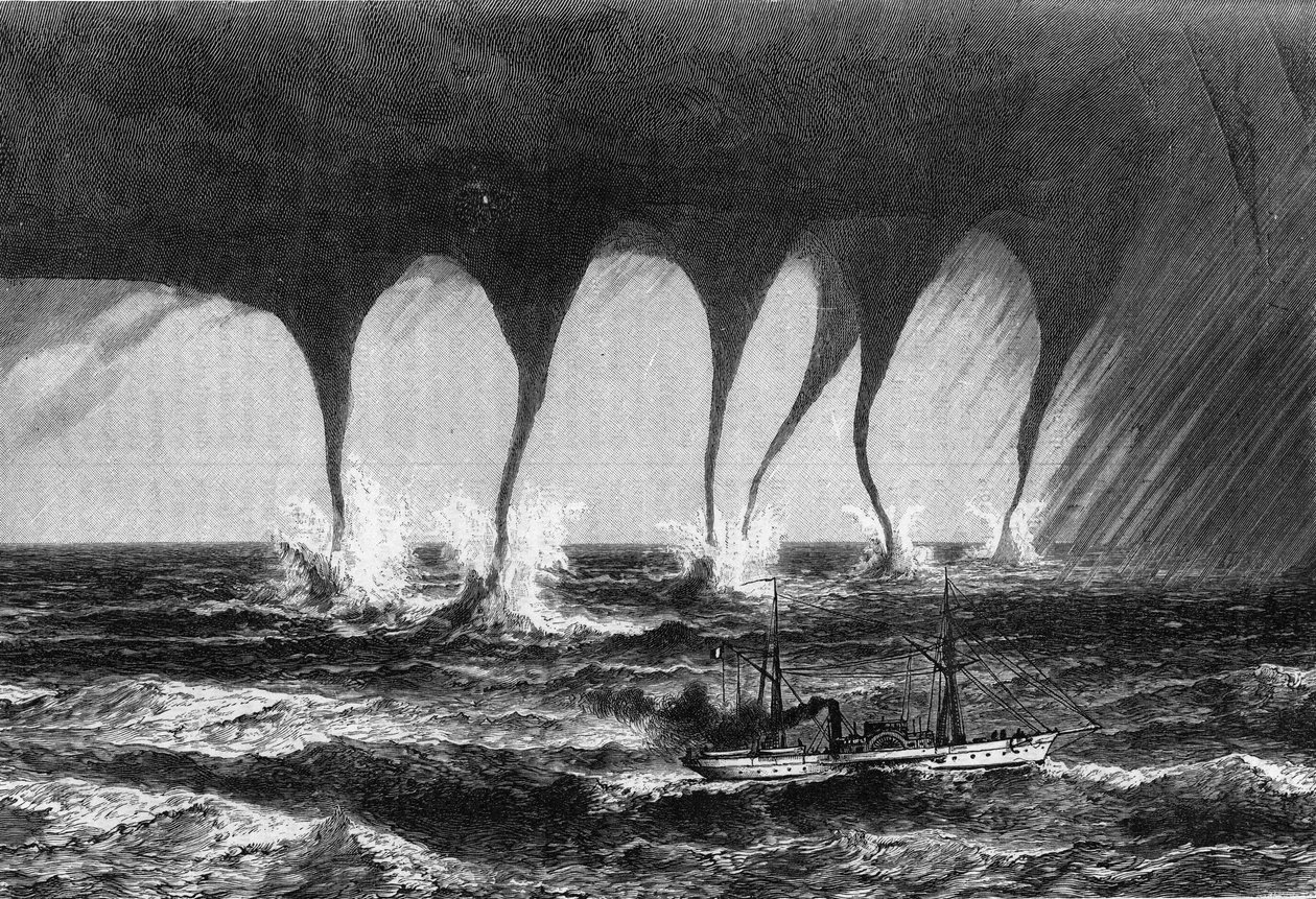 Tromba marina osservata da Mr. Coffinieres de Nordeck. Incisione in "Le Journal de la jeunesse". da Unknown artist