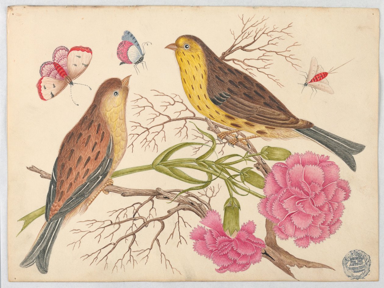Due uccelli marroni e gialli su rami con garofani e insetti da Unknown artist