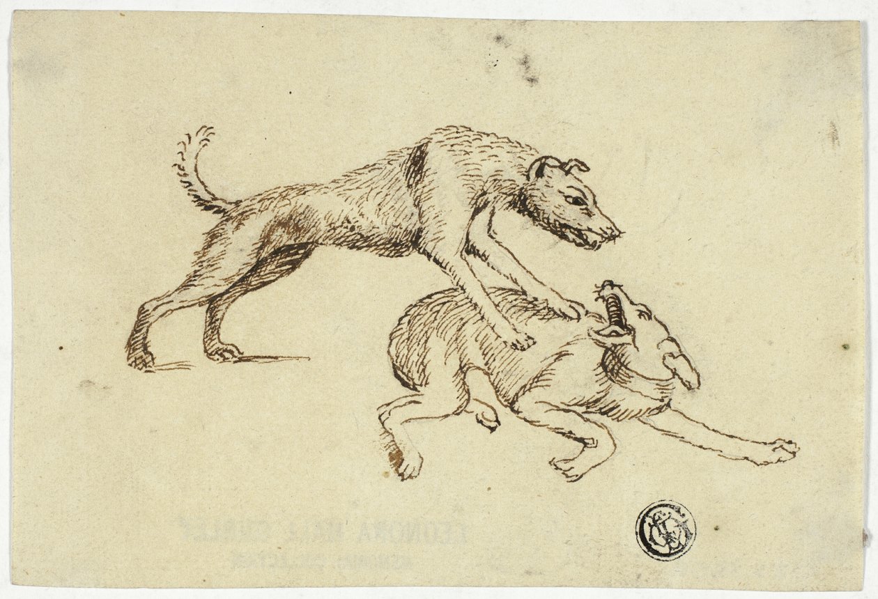 Due cani che combattono da Unknown artist