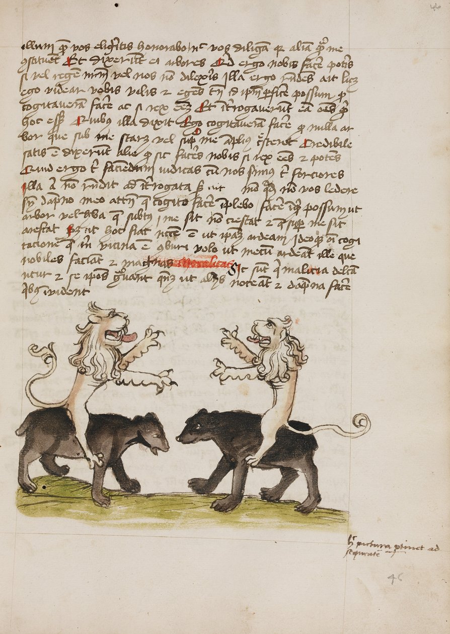 Due leoni seduti sulle spalle di due orsi da Unknown artist