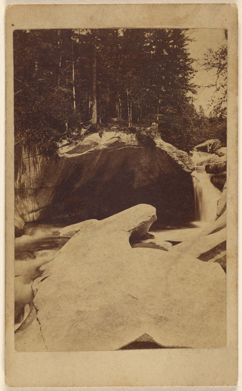 [Veduta di una foresta non identificata con rocce e caverna]. da Unknown artist