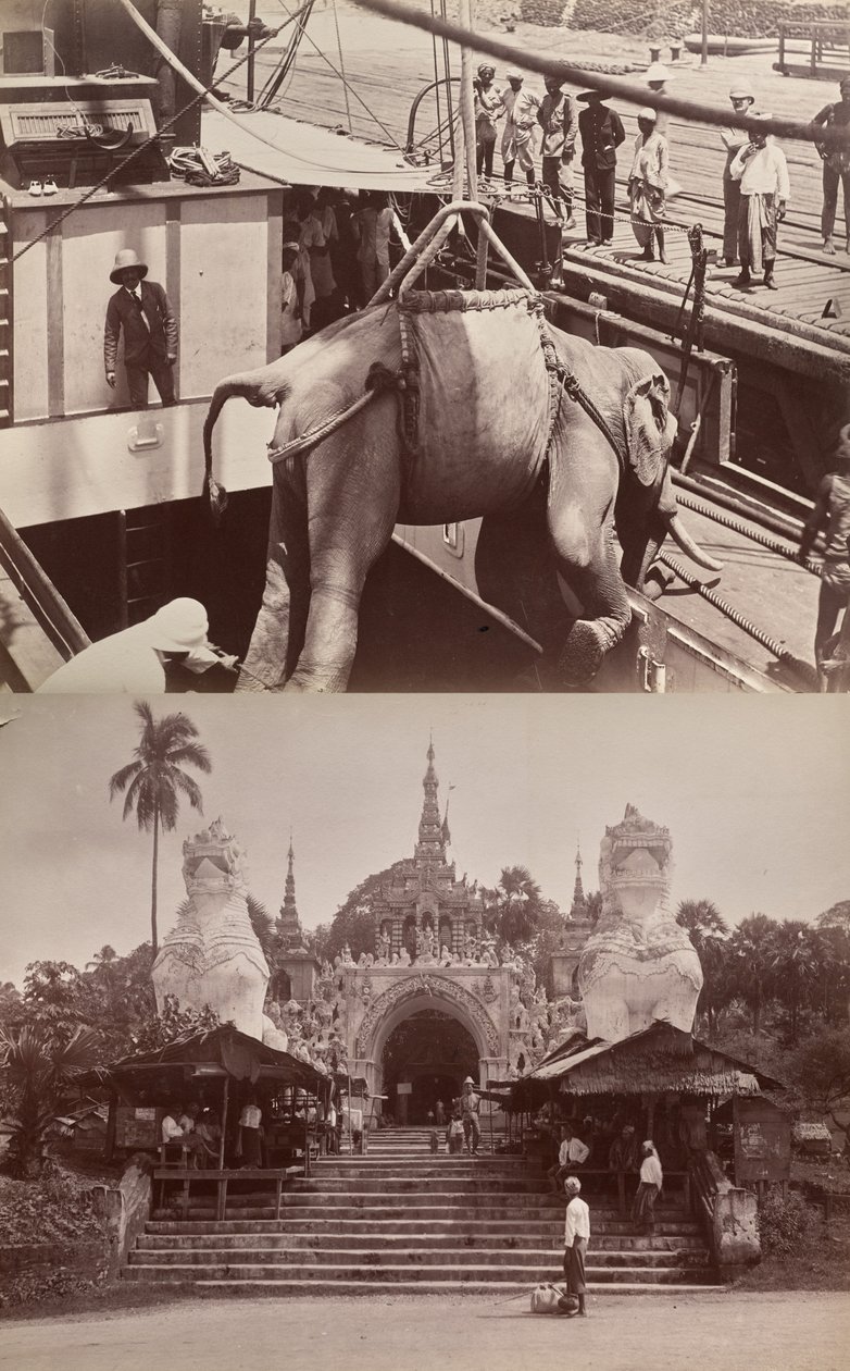 Senza titolo: (elefante che viene caricato su una nave, recto); (gradini e edificio, verso) da Unknown artist