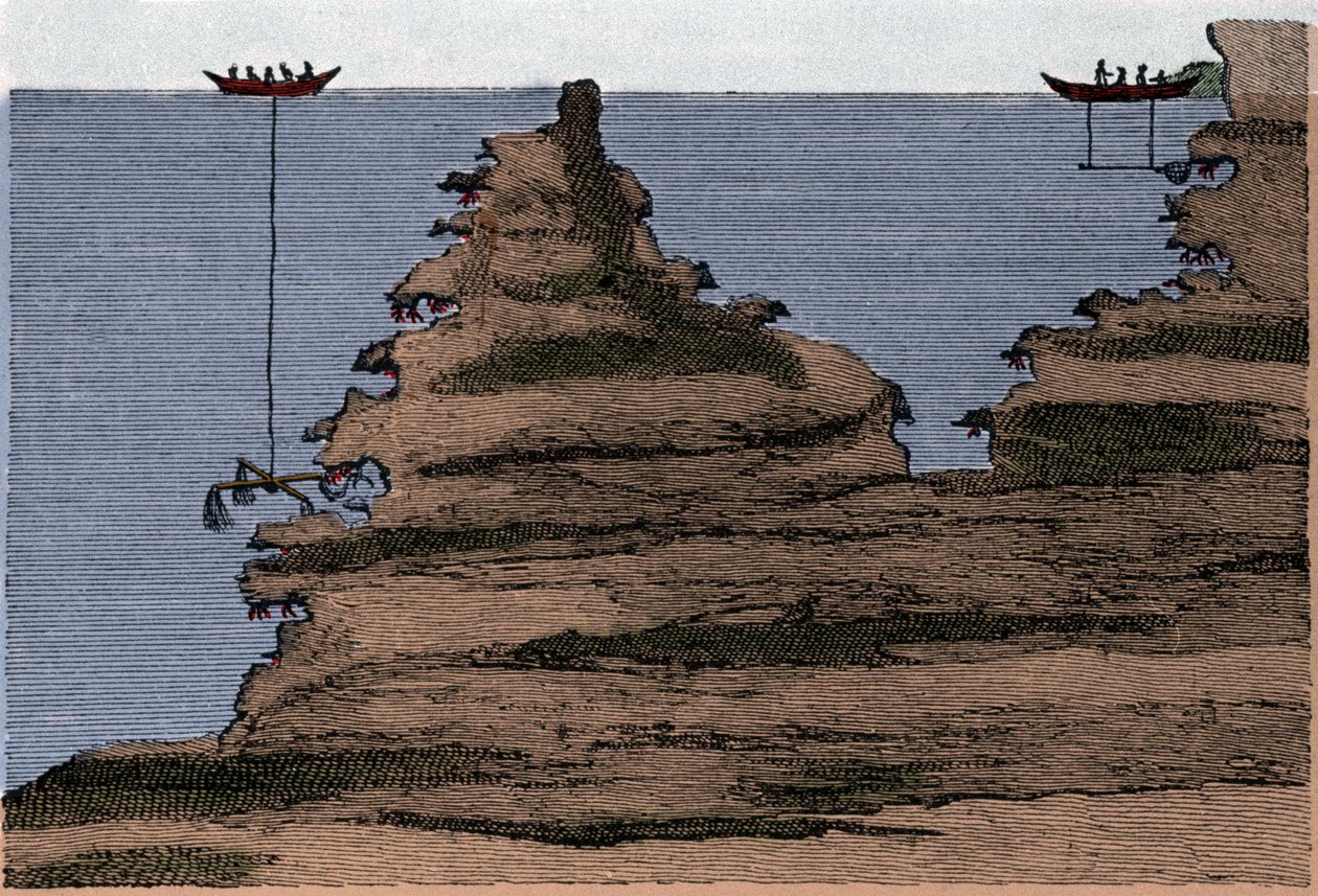 Uso di due tipi di reti per la pesca del corallo. A destra il salabre, a sinistra l