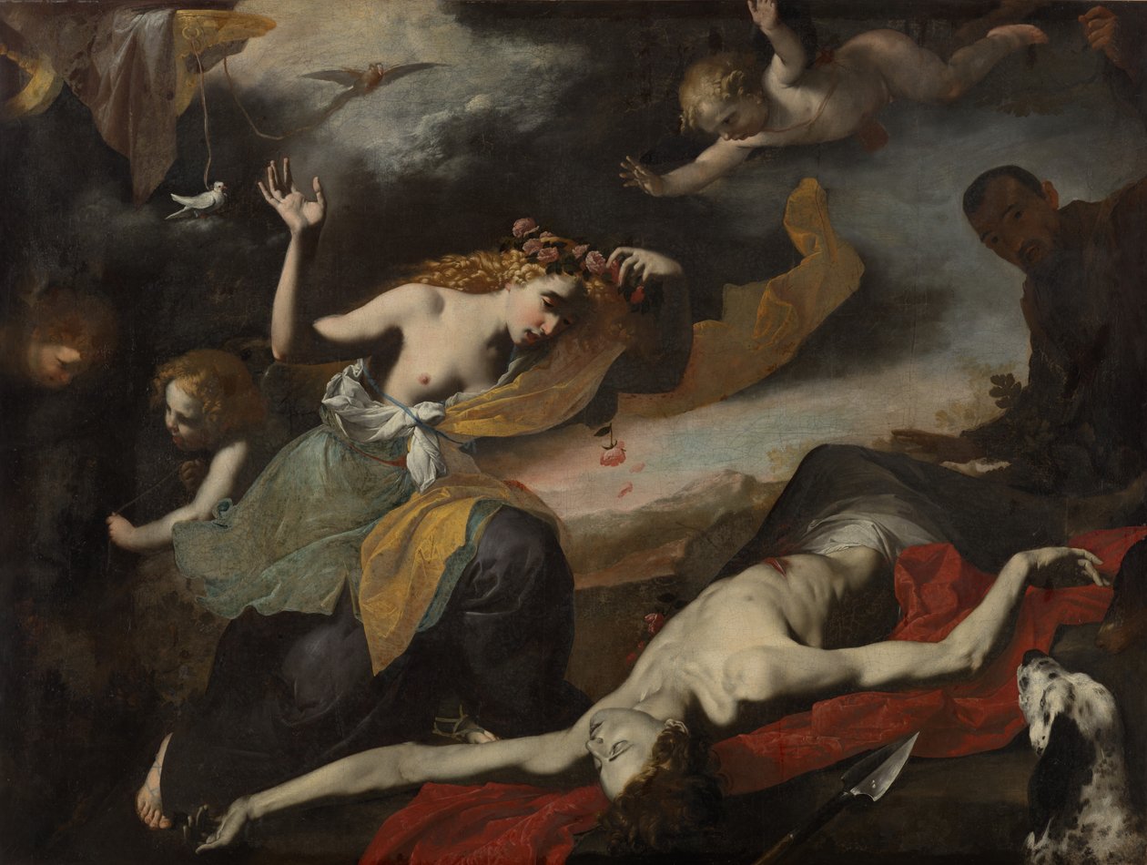 Venere scopre il corpo di Adone da Unknown artist