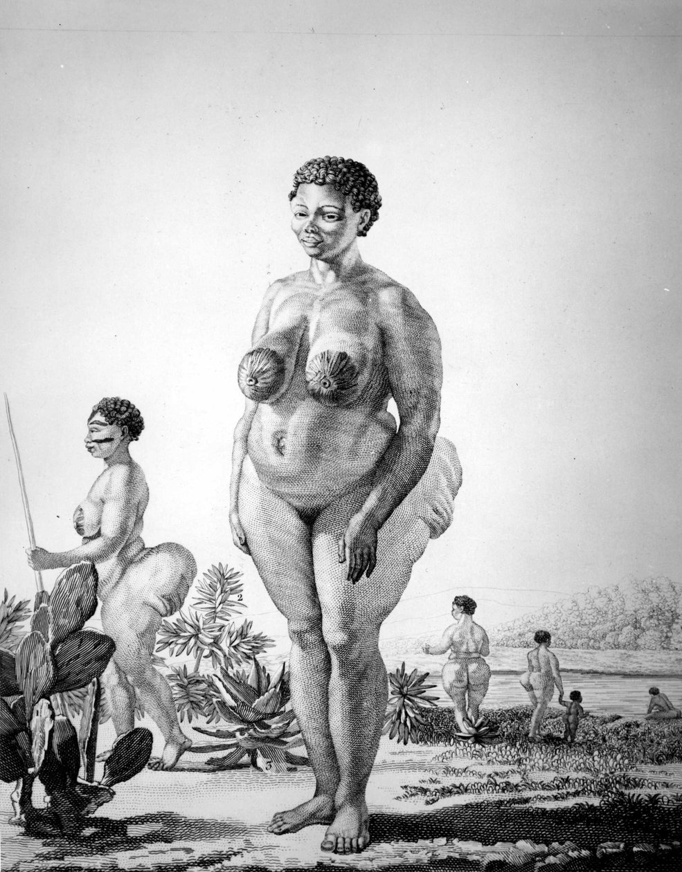 Venere Ottentotta del Sudafrica da Unknown artist