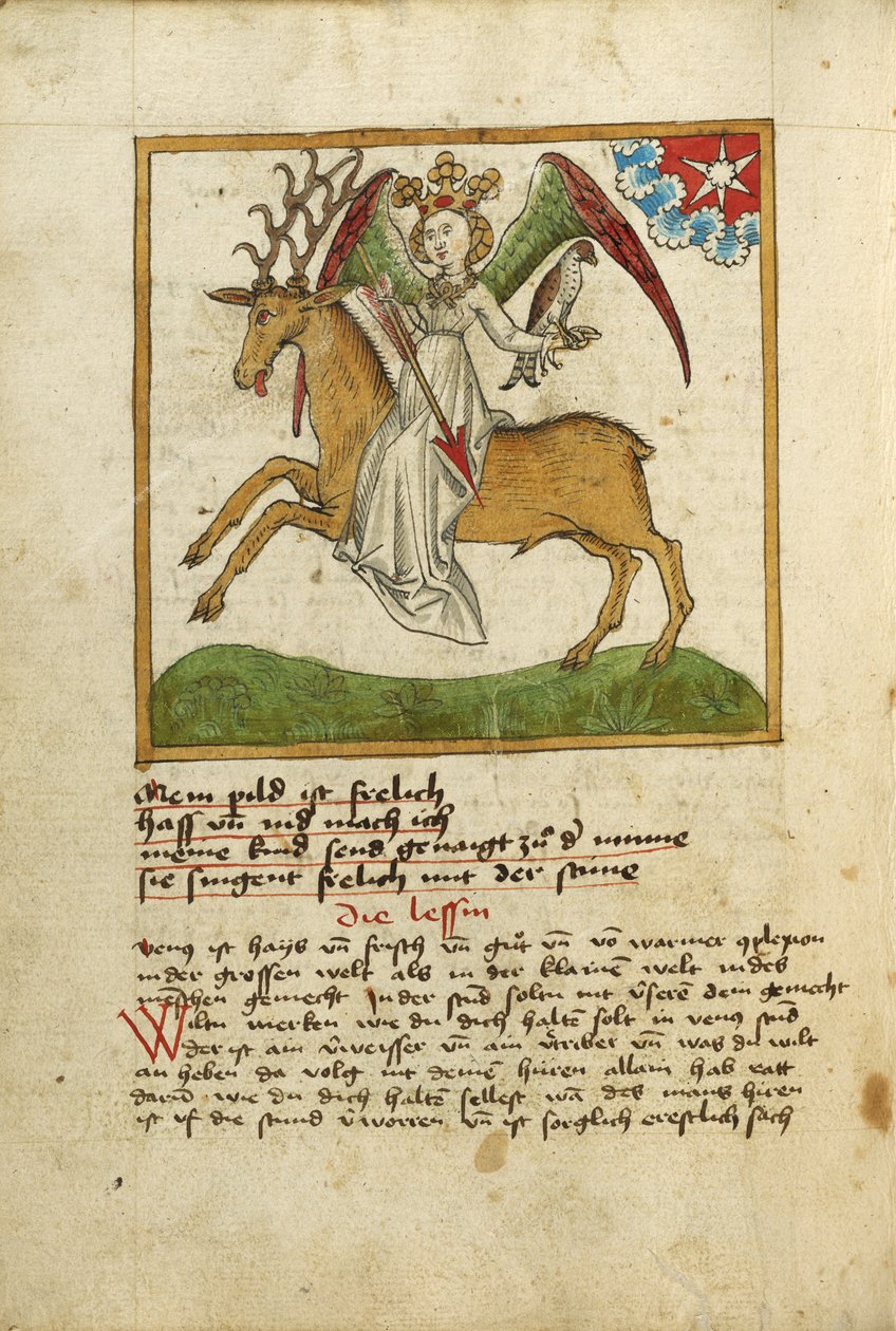 Venere a cavallo di un cervo da Unknown artist