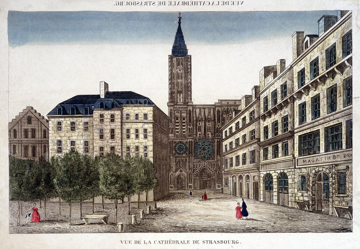 Veduta della Cattedrale di Strasburgo nel XVIII secolo. da Unknown artist
