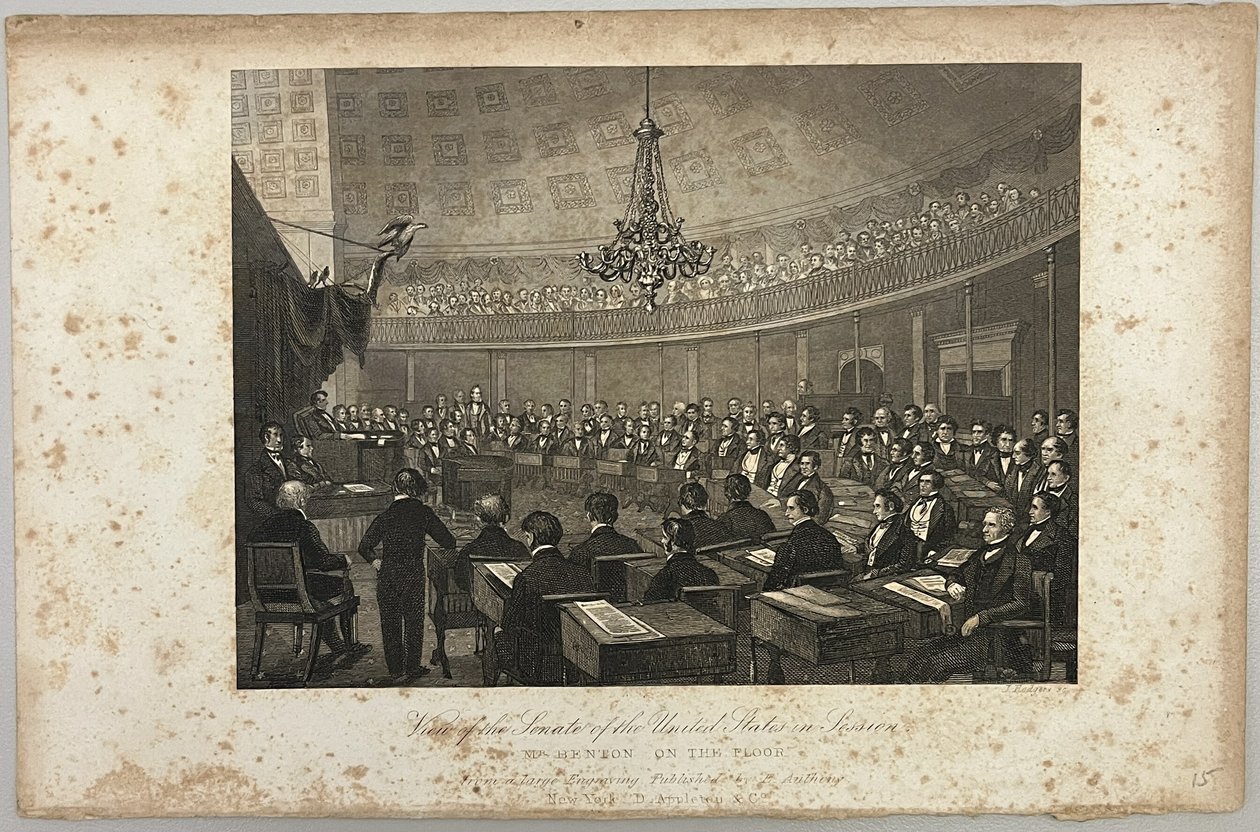 Veduta del Senato degli Stati Uniti in sessione da Unknown artist