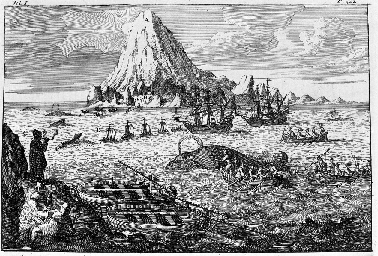 Caccia alla balena al largo dell