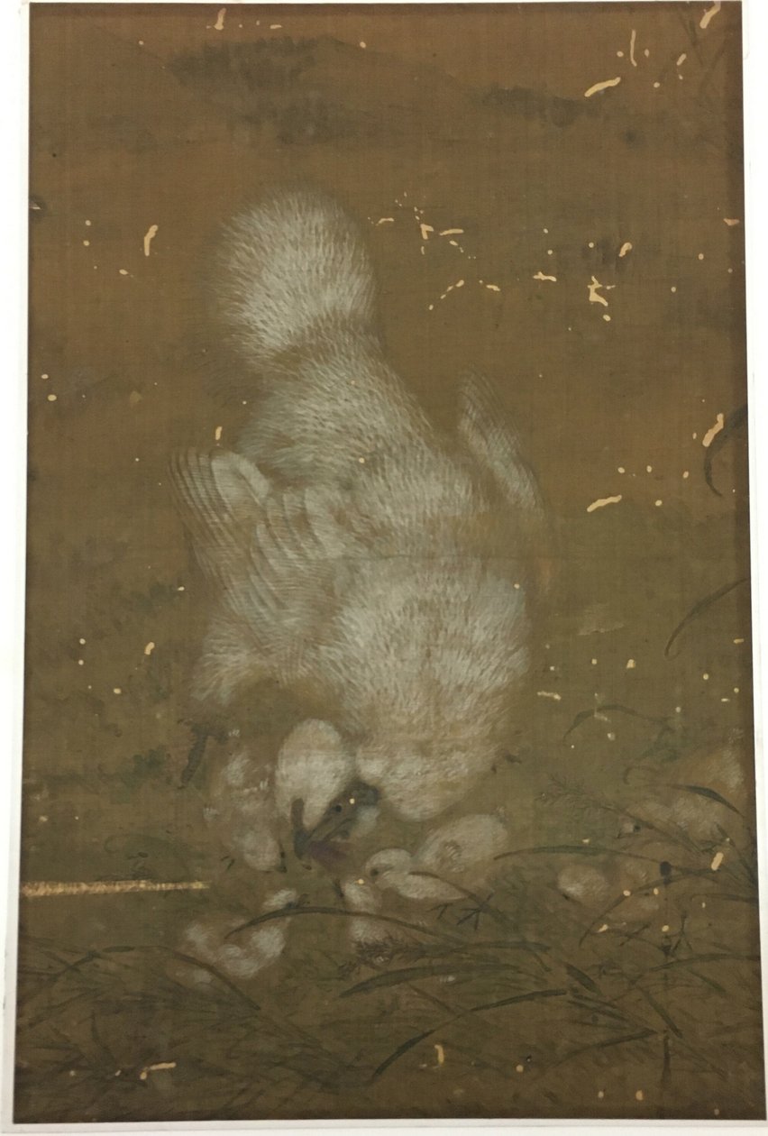Gallina bianca e pulcini da Unknown artist