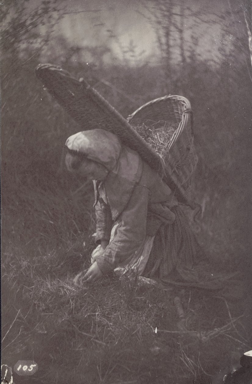 [Donna con cesto sulla schiena] da Unknown artist