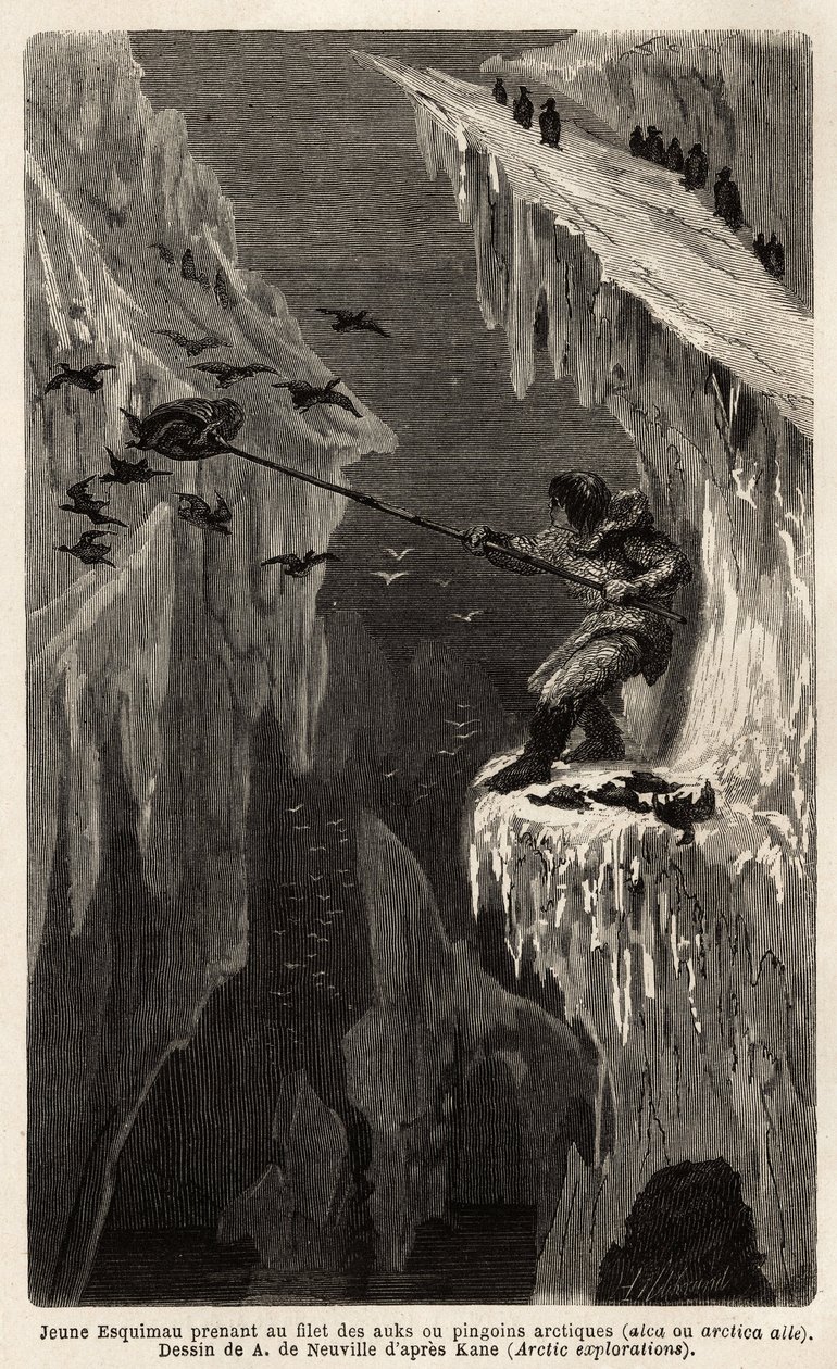Giovane eschimese che cattura pinguini artici. Incisione per illustrare il viaggio al mare libero del polo artico, del Dottor Hayes, chirurgo della Marina degli Stati Uniti, nel 1860-1862, pubblicata in "Le tour du monde, nouveau journal des voyages", a cu da Unknown artist