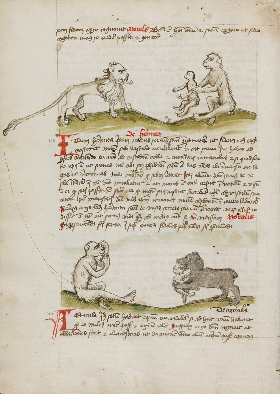 Un leone con una scimmia e il suo piccolo; Una scimmia; Un orso che mangia una giovane scimmia da Unknown artist/maker