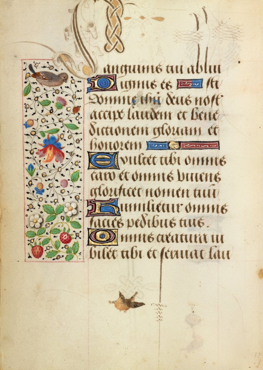 Pagina di testo decorata da Unknown artist/maker