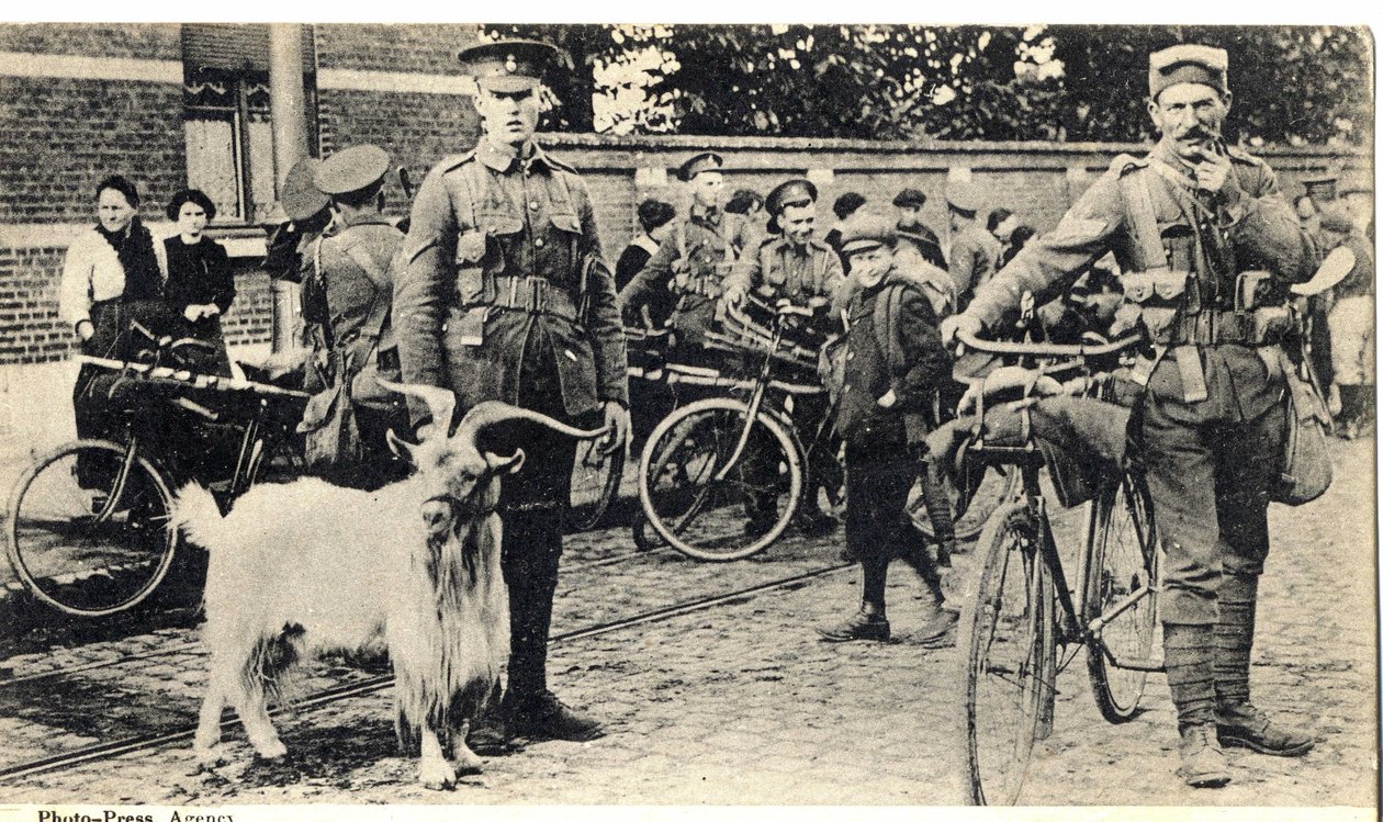 Gat: mascotte dei soldati durante la Prima guerra mondiale (1914-1918). da Unknown photographer