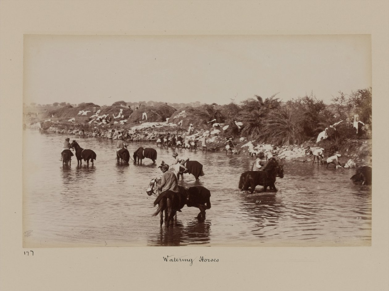 Cavalieri indiani che abbeverano i loro cavalli durante il Campo di Esercizio di Delhi da Unknown photographer
