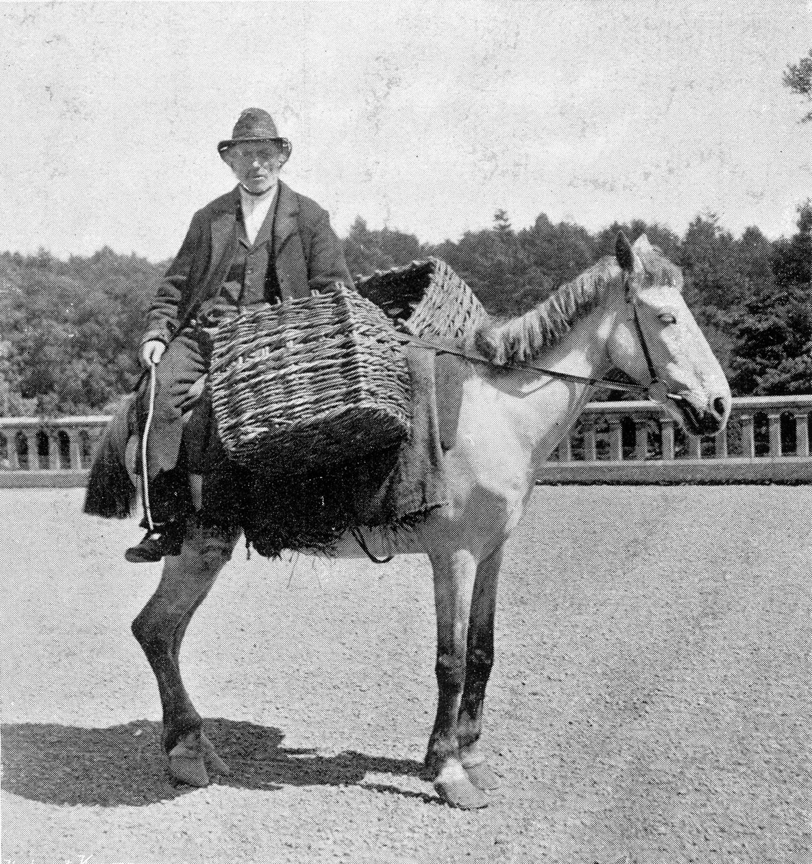 Irlandese sul suo cavallo (XIX secolo) da Unknown photographer