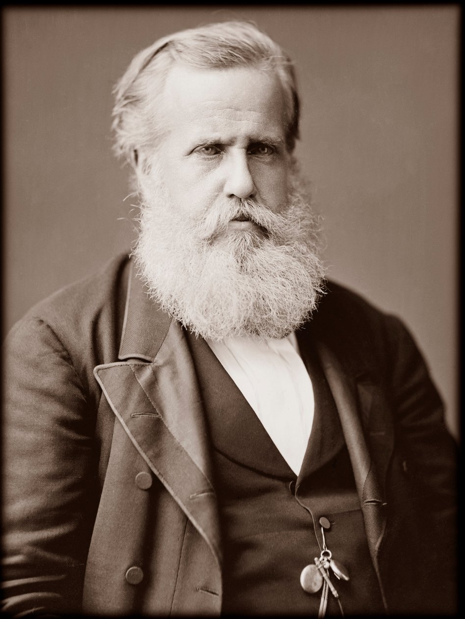 Ritratto di Dom Pedro II, imperatore del Brasile da Unknown photographer