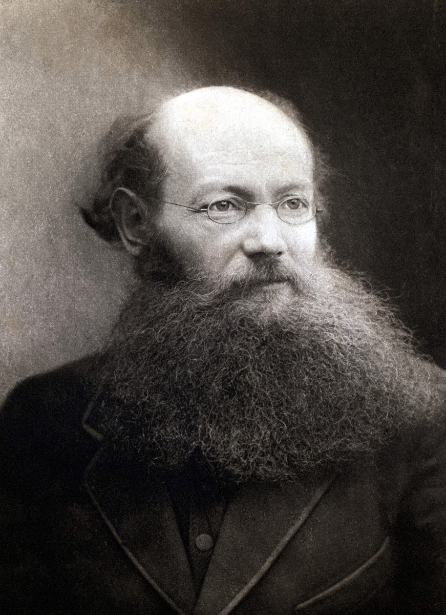 Ritratto del Principe Pietro (Piotr) Alekseyevich Kropotkin (1842-1921), rivoluzionario e anarchico russo da Unknown photographer