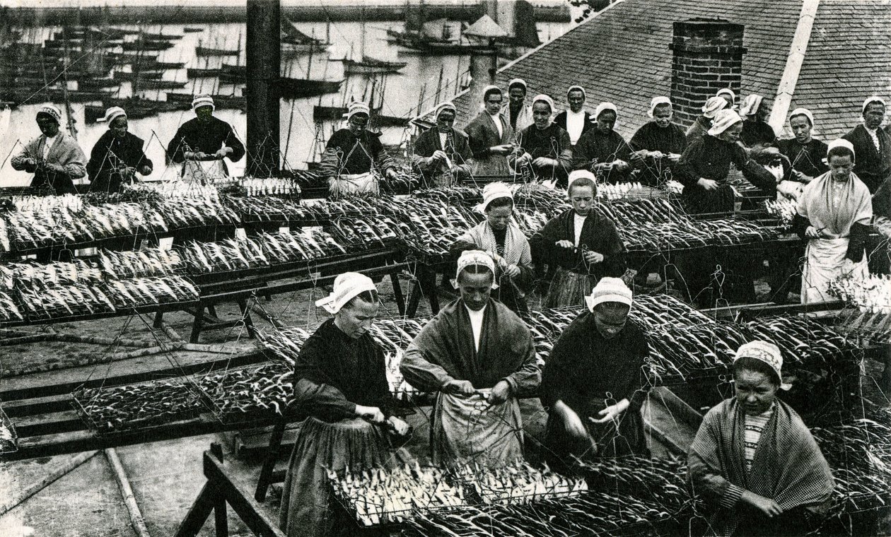 Industria della sardina, Finistère, Bretagna (foto b/n) da Unknown photographer