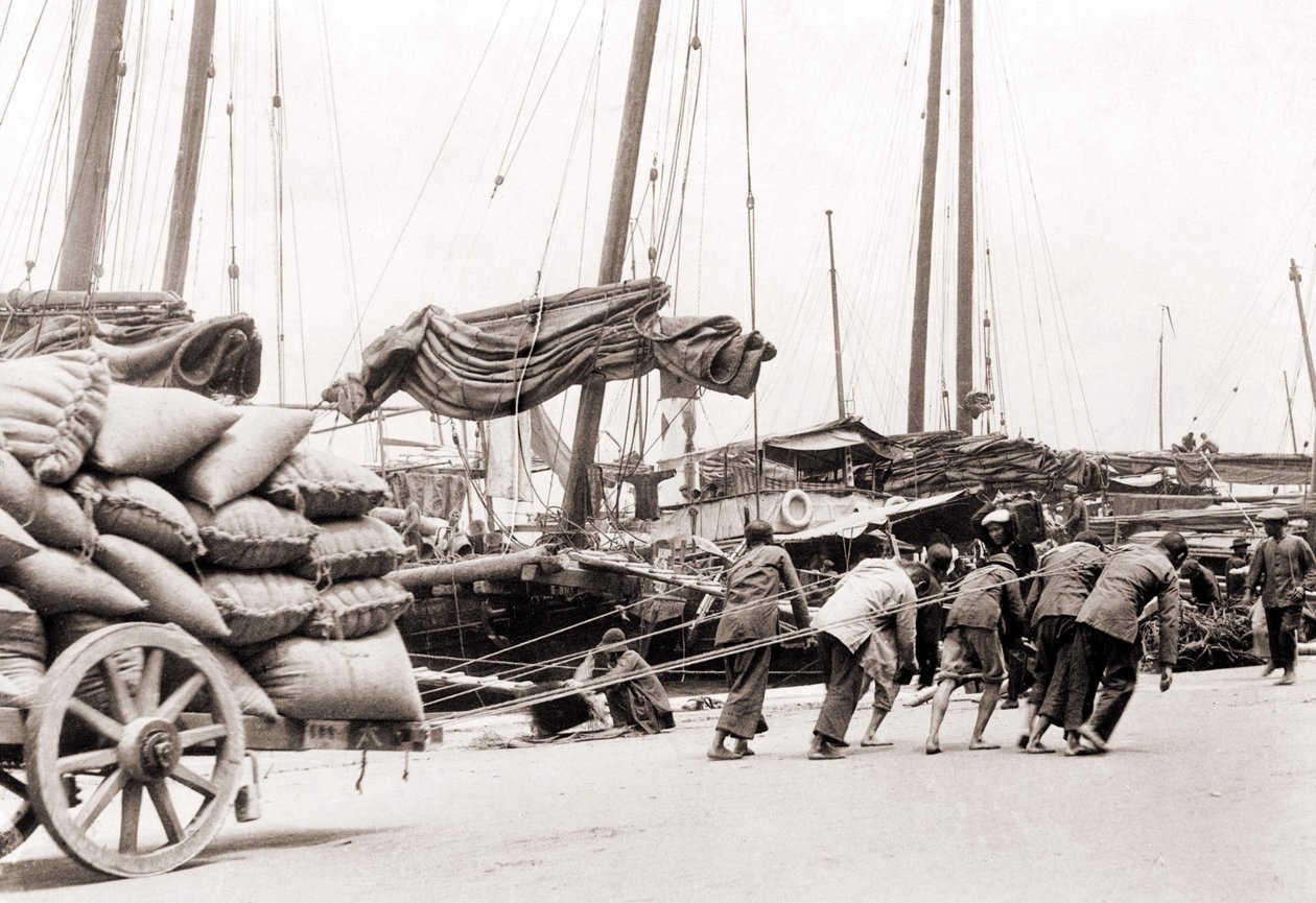 Il porto di Hong Kong intorno al 1880 da Unknown photographer