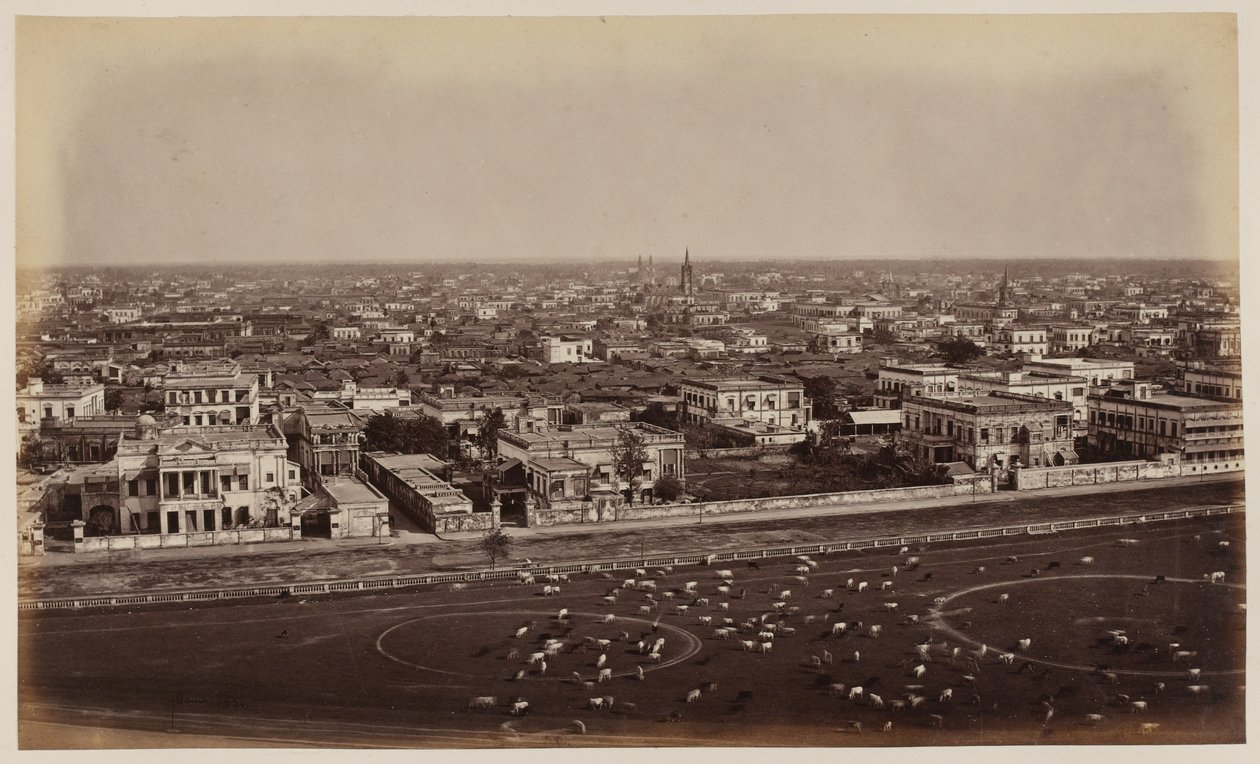 Veduta dal Monumento Ochterlony, Calcutta da Unknown photographer