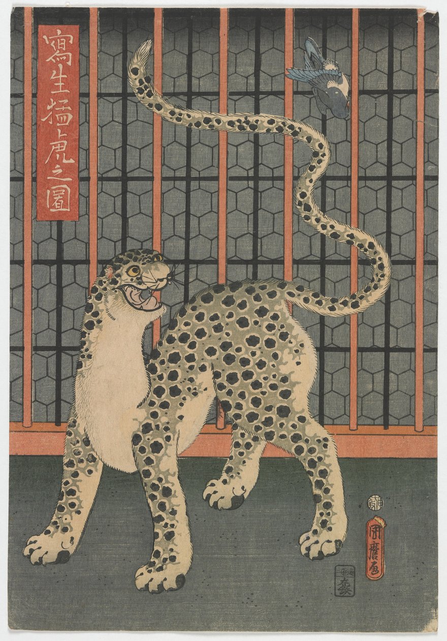 Un leopardo disegnato dal vivo, periodo Edo, 1860 da Utagawa Kunimaro